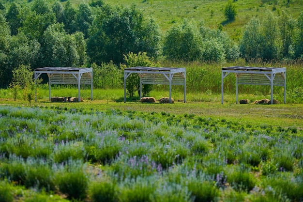 Wooden gazebo painted in the open air