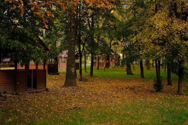 Wooden gazebos in the park on an autumn day no peoplesummerhouse in the forest with wonderful