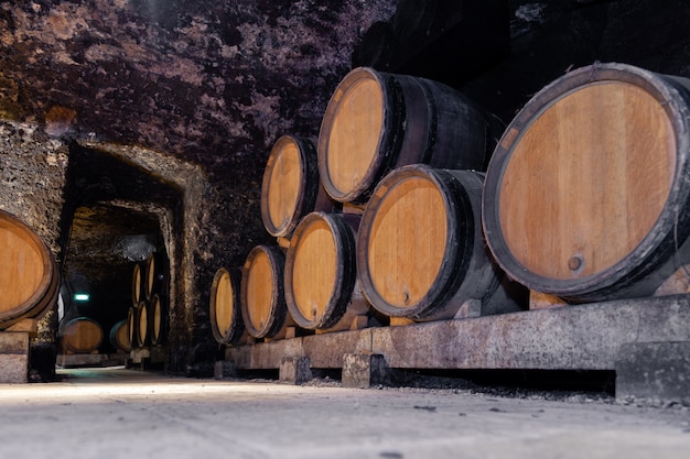 Botti giganti di legno di quercia da vino accatastate in file