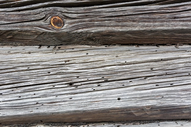 Wooden gray frame texture of old house with burrow eaten bark\
beetle