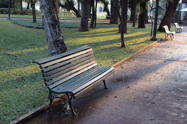 Panca in legno verde nella piazza tra gli alberi