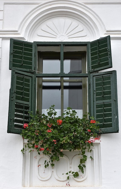 Wooden green window shutters on rural house