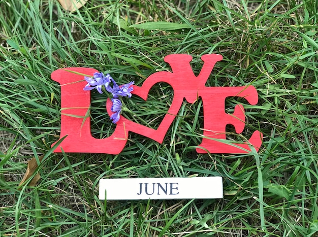 Photo a wooden heart with the word june is on a wooden plaque