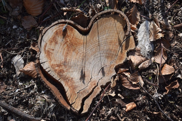 Wooden heart