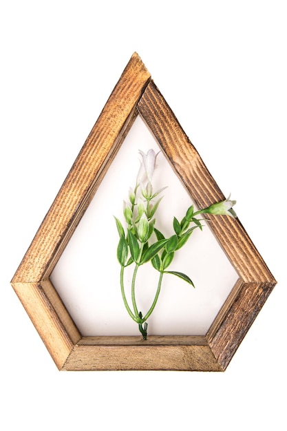 Wooden hexagonal wall decorative frame with an artificial flower in the center on a white isolated background