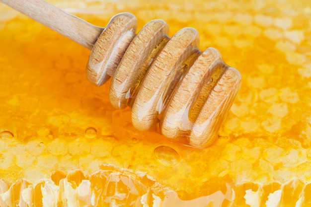 Wooden honey spoon on surface of honeycomb