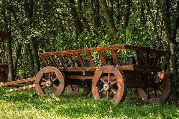 木々や緑の草を背景に木製の馬車