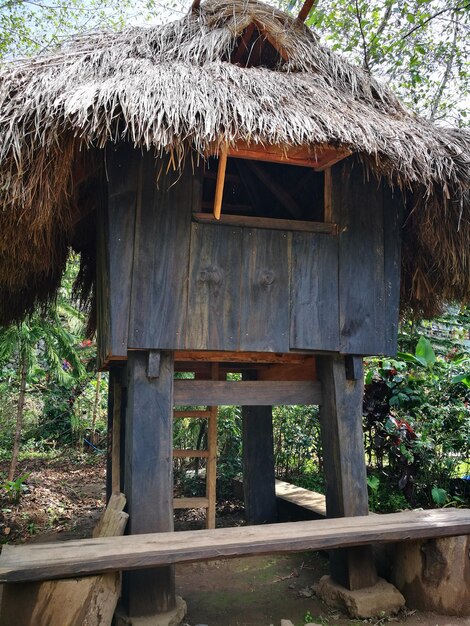 Foto casa di legno in mezzo agli alberi della foresta