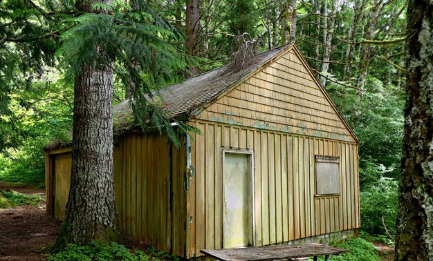 Photo wooden house amidst trees and plants in forest