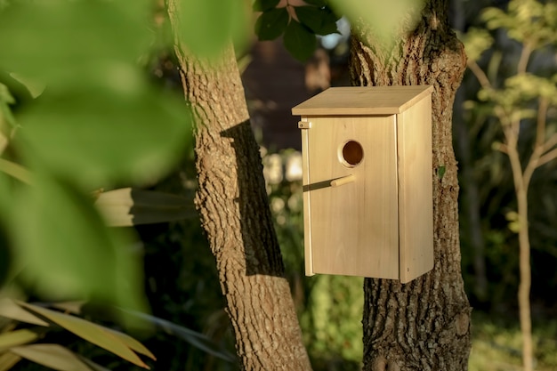 Casetta in legno per uccelli sull'albero