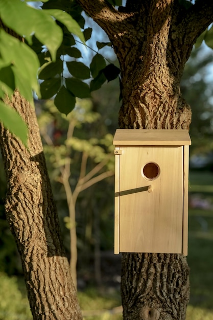 Foto casetta in legno per uccelli sull'albero