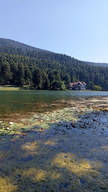 Wooden house by the forest and lake