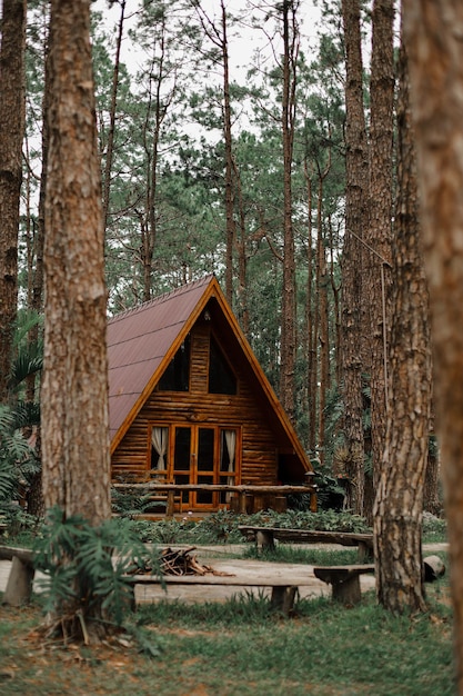 Деревянный дом у деревьев в лесу