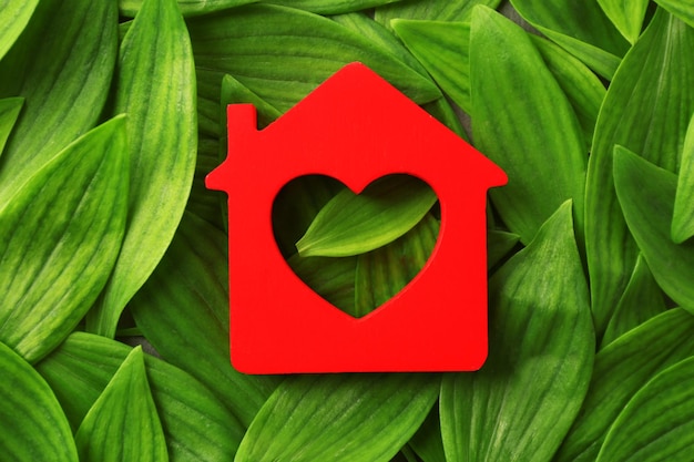 Wooden house on green leaves background