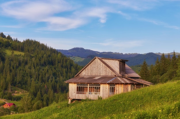 A wooden house on a green meadow in mountains A house near old forest