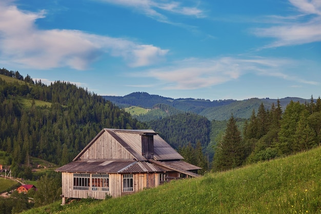 A wooden house on a green meadow in mountains A house near old forest