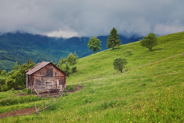 A wooden house on a green meadow in mountains A house near old forest