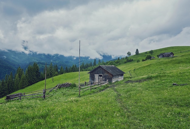 A wooden house on a green meadow in mountains A house near old forest