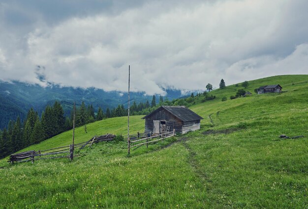 Foto una casa in legno su un prato verde in montagna una casa vicino alla vecchia foresta