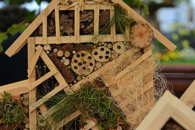 昆虫のための木造住宅装飾家のクローズアップ
