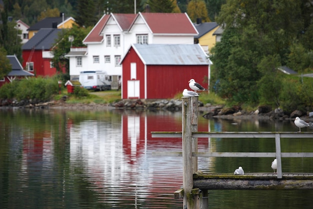 Wooden house at the Lofoten archipelago