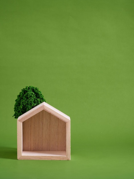 Wooden house model on green background