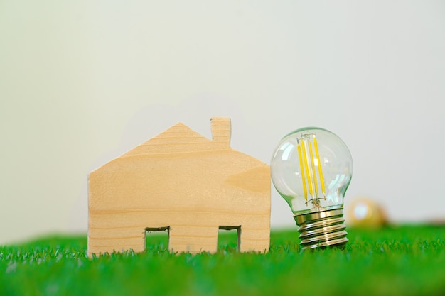 Wooden house model and lightbulb on green background