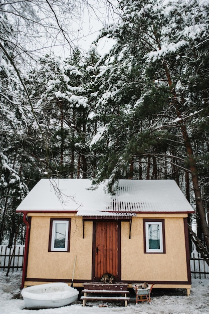 Wooden house near the lake in the forest for winter fishing