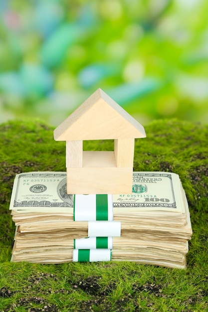 Wooden house on packs of dollars on grass on natural background