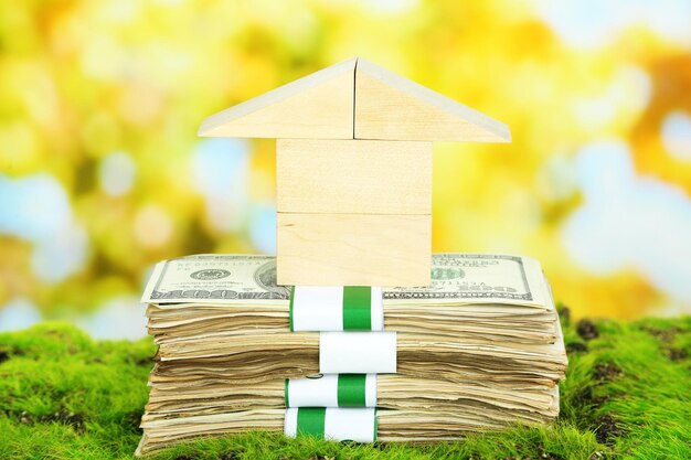 Wooden house on packs of dollars on grass on natural background