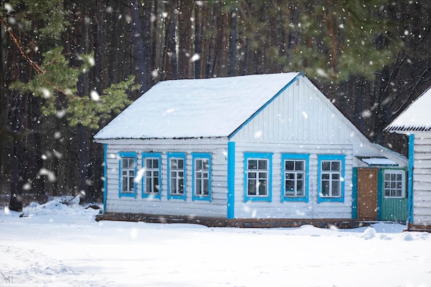 Wooden house in a pine forest in snowy winter