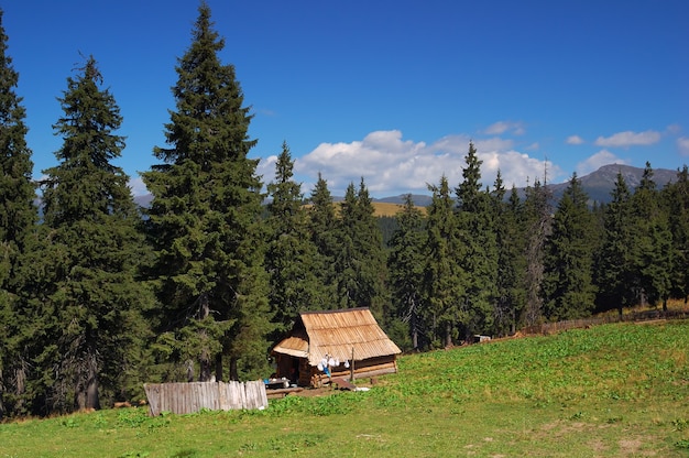 Wooden house shepherds in the mountains