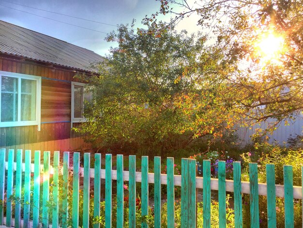 wooden house in the village in the rays of the setting sun