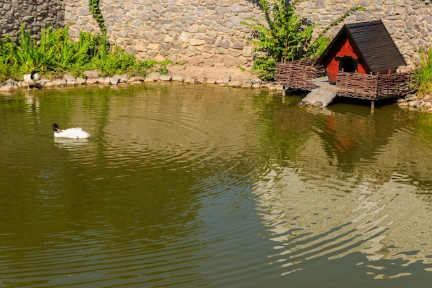 Wooden house for water birds and turtles on a lake in city park