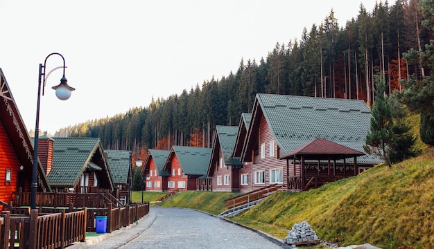 Photo wooden houses near the forest