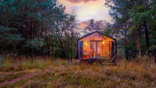 オランダの秋の森の木製の小屋 オフグリッドの小屋