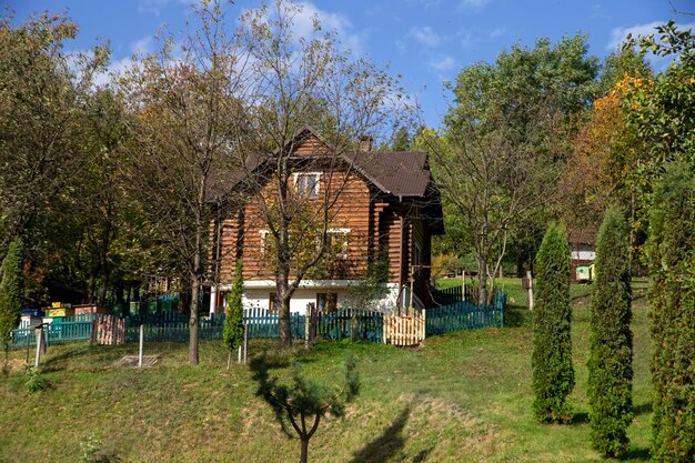 A wooden hut stands on a hill in the forest Beside her is an apiary