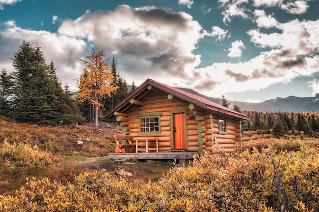 写真 国立公園の秋の森の青い空と木造の小屋