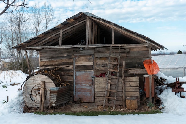 wooden hut