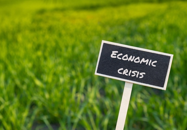 Wooden information label sign with text ECONOMIC CRISIS against defocused agriculture field message