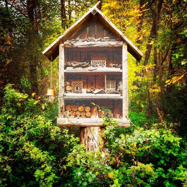 Foto casetta per insetti in legno. bug hotel decorativo nella foresta autunnale