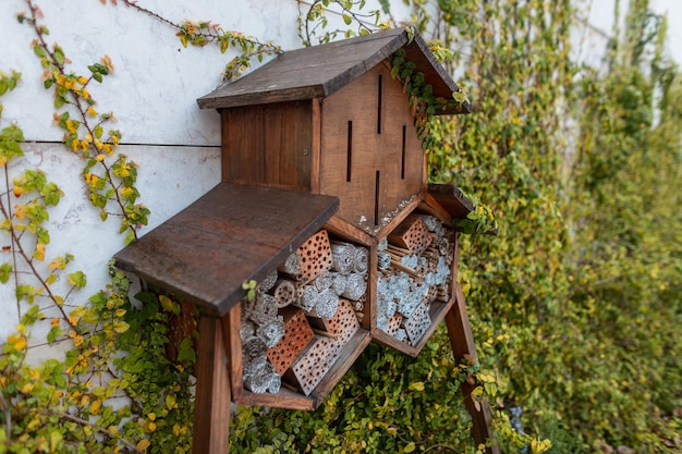 Wooden insect house in the garden with greenery Save the bee Ecology life and balance