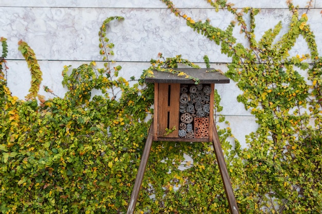Wooden insect house hotel in a garden with greenery Saving the bee and ecology