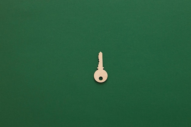 Wooden keys Composition on green background