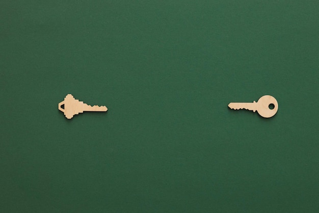 Photo wooden keys composition on green background