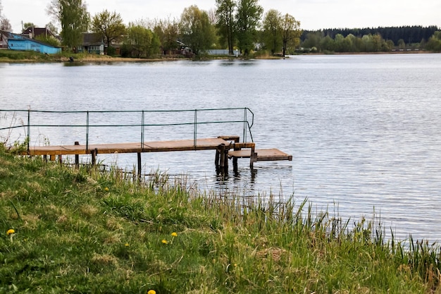 Wooden laying on the river at the shore