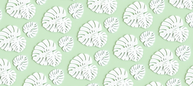 Wooden leaves of monstera plant pattern on green background Floral tropic banner background