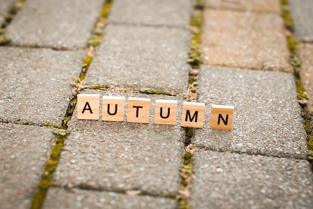 Wooden letters on the fall alley.