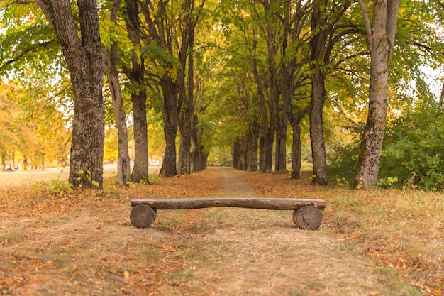 Wooden log bench in park in autumn 