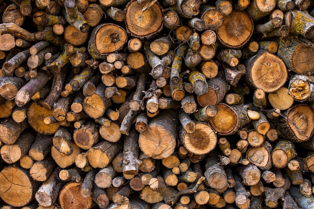 Wooden logs Cross section of the tree Folded firewood for the winter Trunks of trees